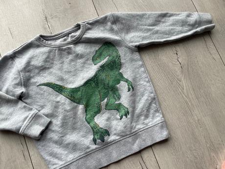 Mikina s dinom, john lewis,116