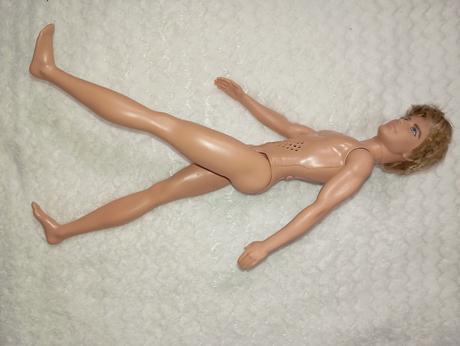 Barbie ken chlapci 2,