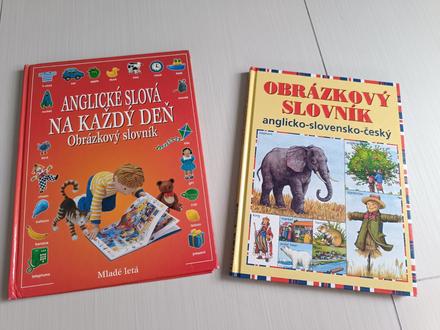 Anglicko slovenske slovniky,