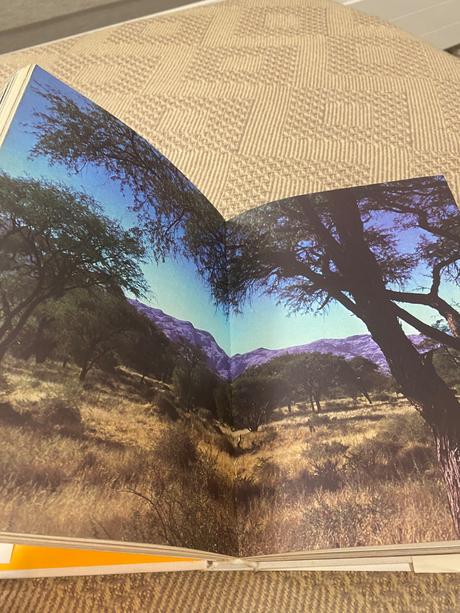 Krásna kniha o afrike safari pod kilimandžárom,