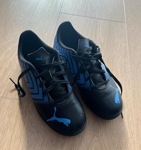 Halovky puma, puma,36