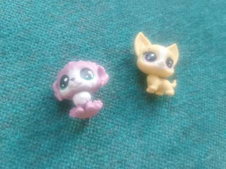 Zvieratká rôzneho druhu, 