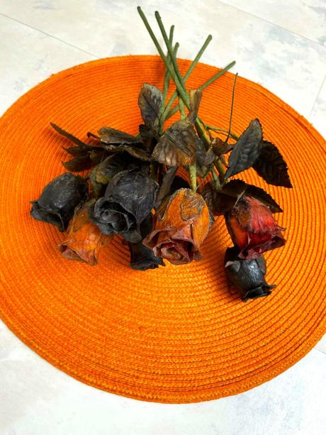 Vintage ruže / 7 ks, 