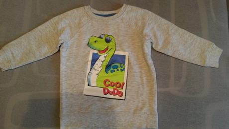 Mikina a dinosaurom, pepco,104