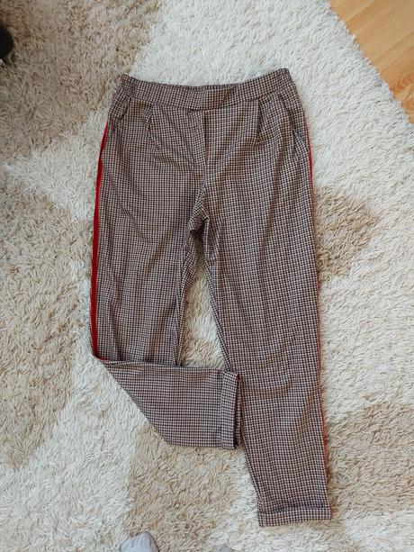 Nohavky calliope, calliope,l