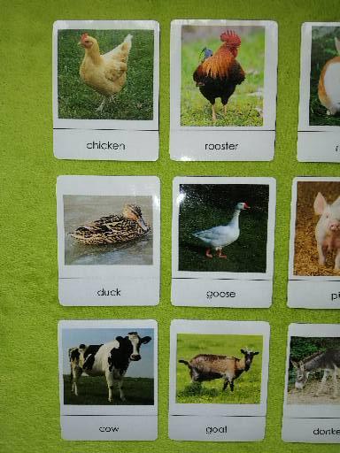 12 ks montessori kartičiek - zvieratká na farme,