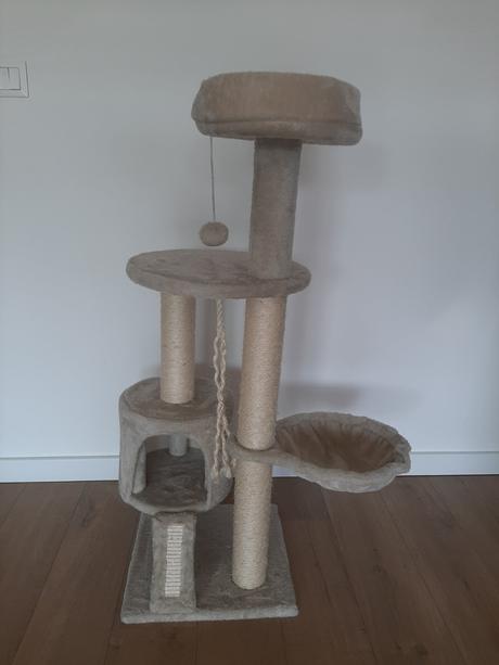 Mačacie škrabatko, 