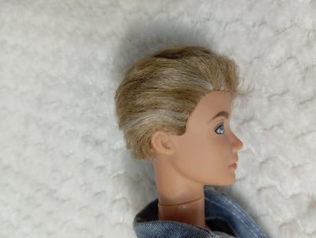 Barbie my scene chlapci ken, 