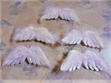 Anjelské krídla z páperia 2ks,