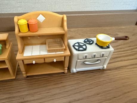 Kuchyňa sylvaniovci,