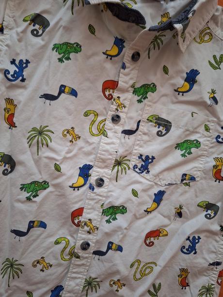 Letna kosela 116, miniclub,116