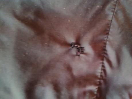 Zateplené sustiakove nohavice, lewro,122