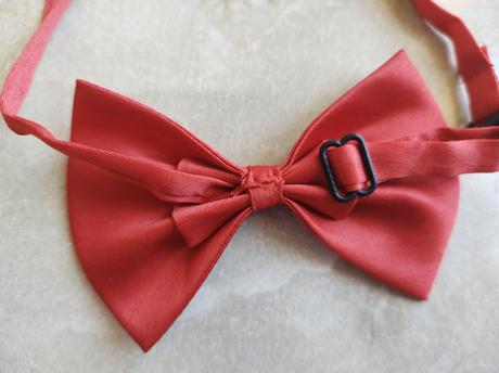 Saténový motýlik, 