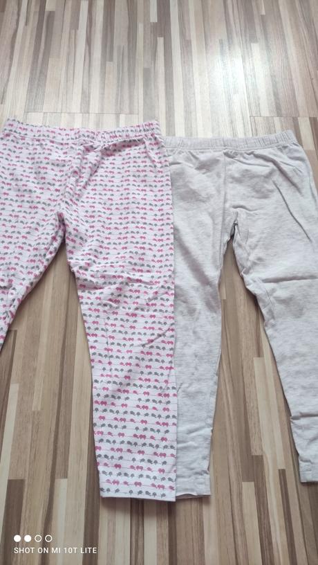 Legíny, authority,116