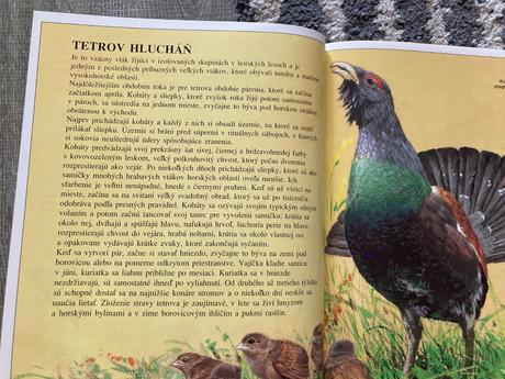 Zvieratá európy-prvé vyd.1997, 