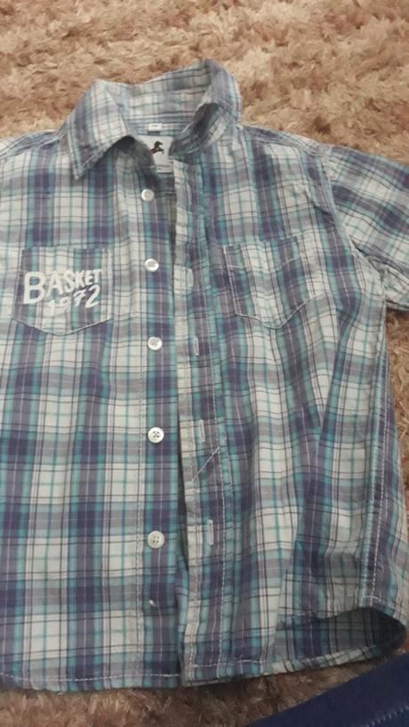 Kosela, palomino,104