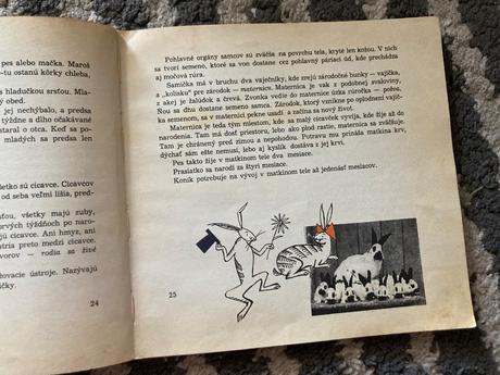 Doniesol ma bocian-prvé vyd.1968, 