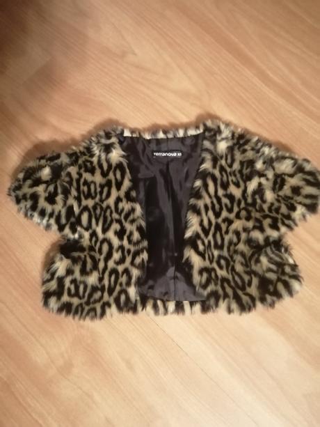 Bolerko, terranova,158