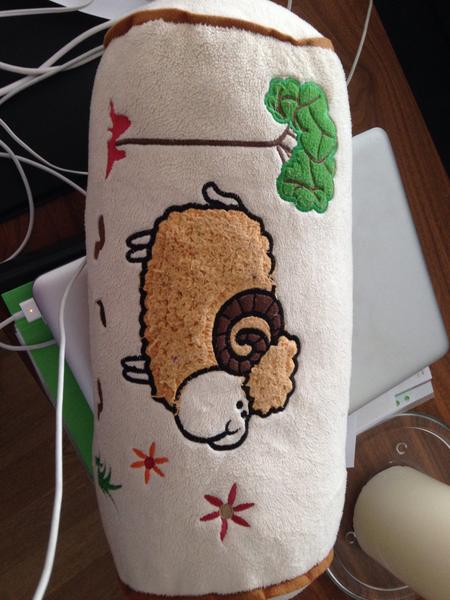 Ako operiem tento vankúšik, aby sa nepoškodil?