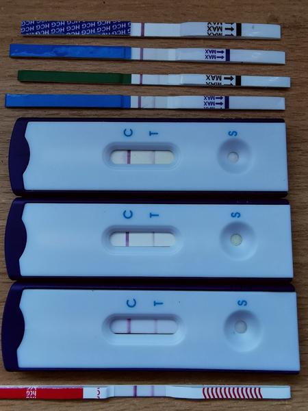 Silnejší duch na teste