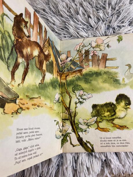 Krásne staré retro lepolero zatoulané house 1970,