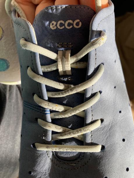 Ecco biom, ecco,40