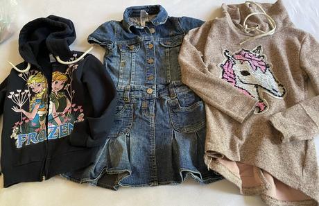 Teplá mikinka s kapuckou frozen v. 98/104, disney,98