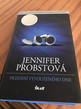 Hledání vytouženého dne - jennifer probstová,