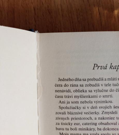 Zamilovaná do anjela, 