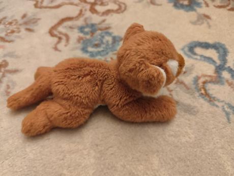 Jemnučký tiger rappa,