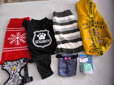 Menštruačné nohavičke pre psa +oblečenie, 