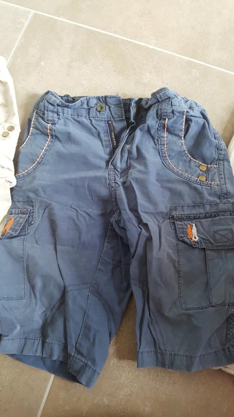 Kratasy, palomino,98