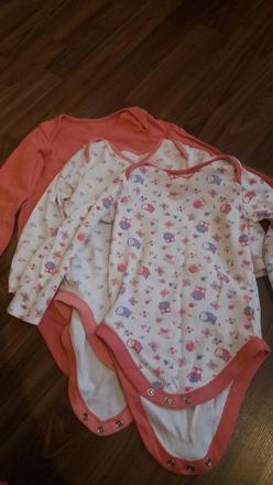 Body, 80