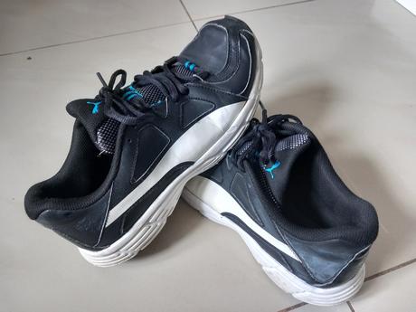 Botasky puma, puma,42