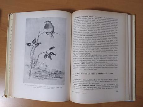 Metodika prírodopisu (1964), 