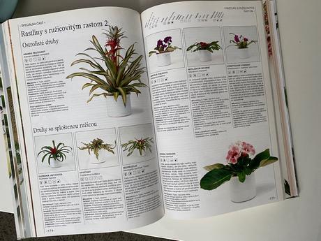 Príjemný život s kvetinami, 