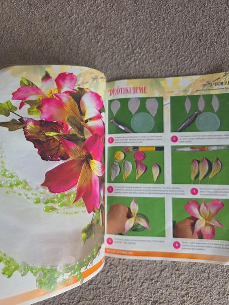 Časopis torty snov, 