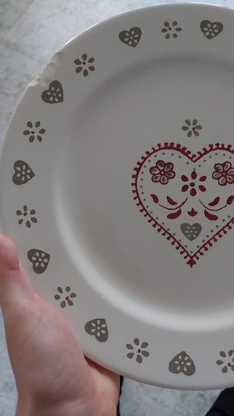 Dá sa opraviť obitý tanier?