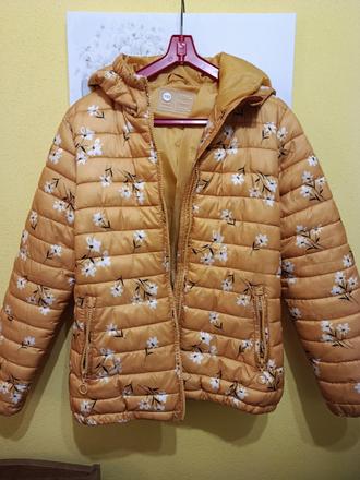 Vetrovka, reserved,152