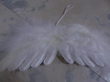 Anjelské krídlo z páperia, 