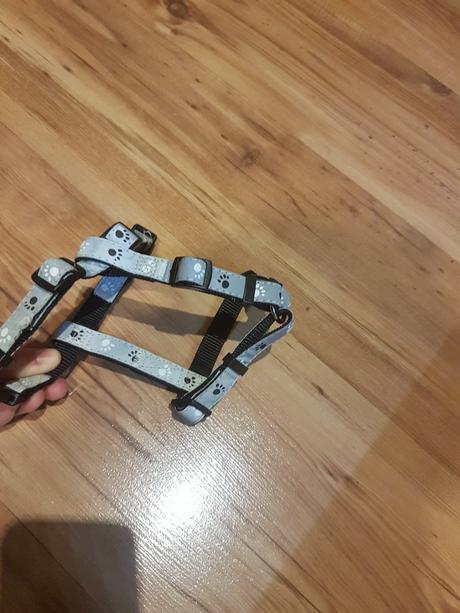 Postroj vysoko reflexny (xs-s) 30-40cm/15mm, strie, 