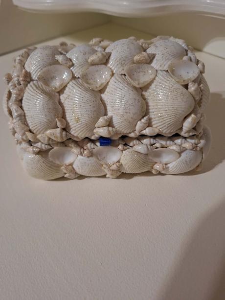 Šperkovnica z mušlí, 