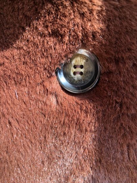 Kozusinovy kabat oakwood cyber, xl