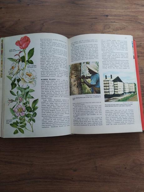 Anglická encyklopédia, 