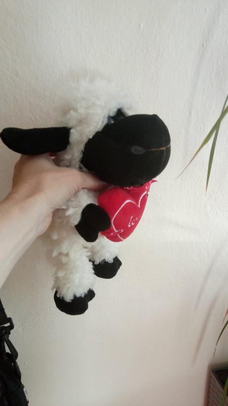 Čierno - biela ovečka so srdiečkom, 