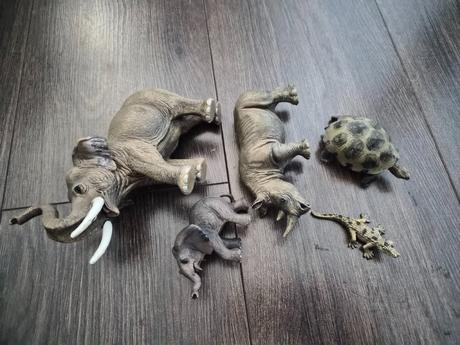Africke zvieratka, 