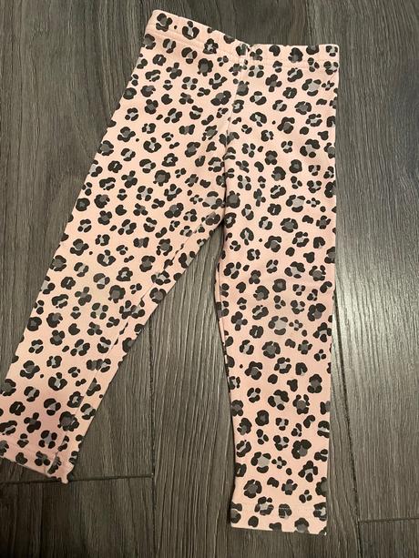 Leginy rebel, rebel,86