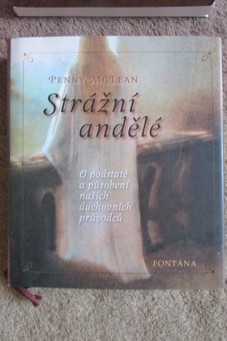 P.mclean strazni andele,