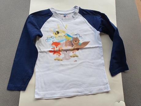 Tričko s lesnými kamarátmi, 110