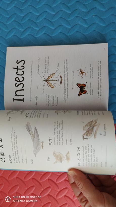 The usbourne big spotter's sticker book - p,